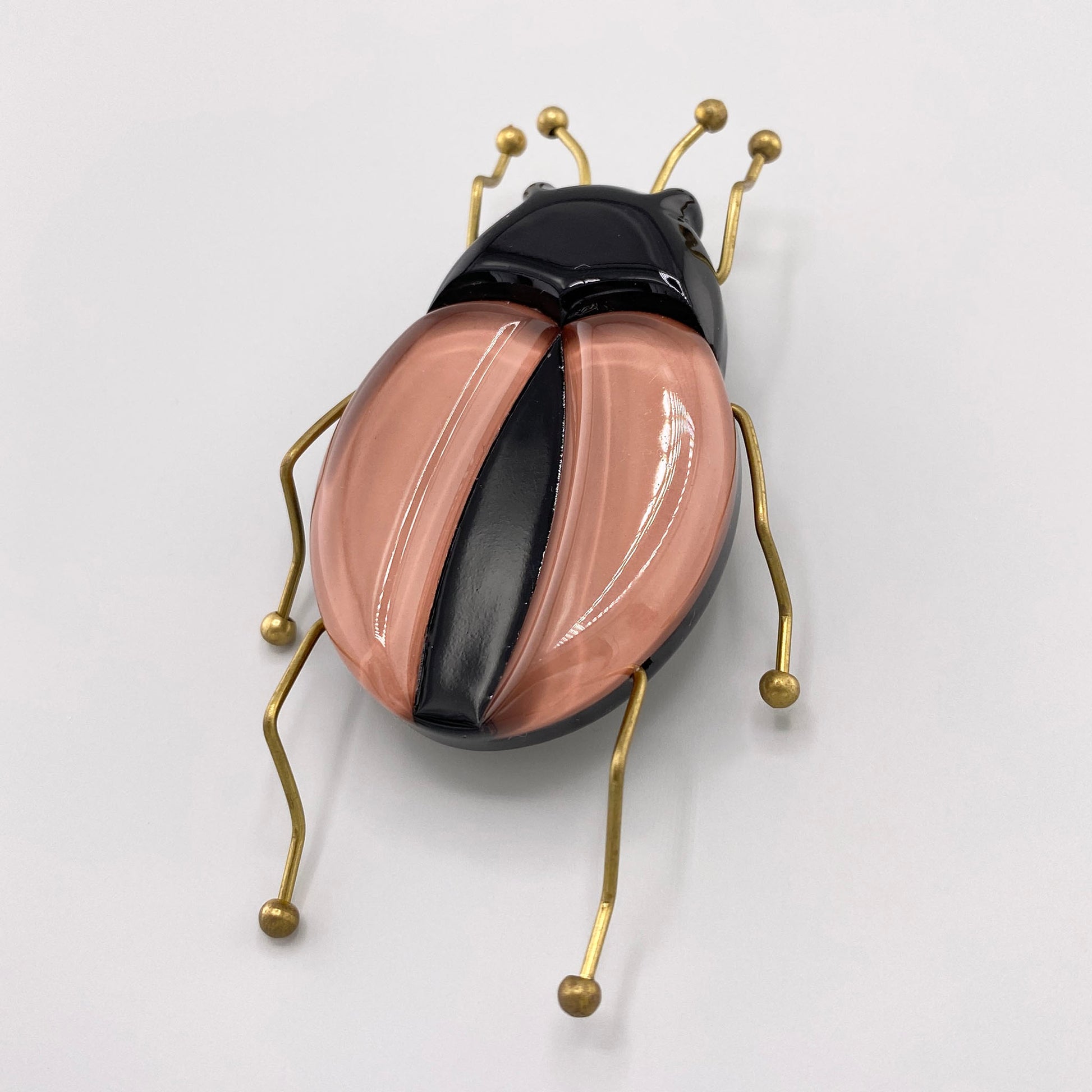 beetle brooch