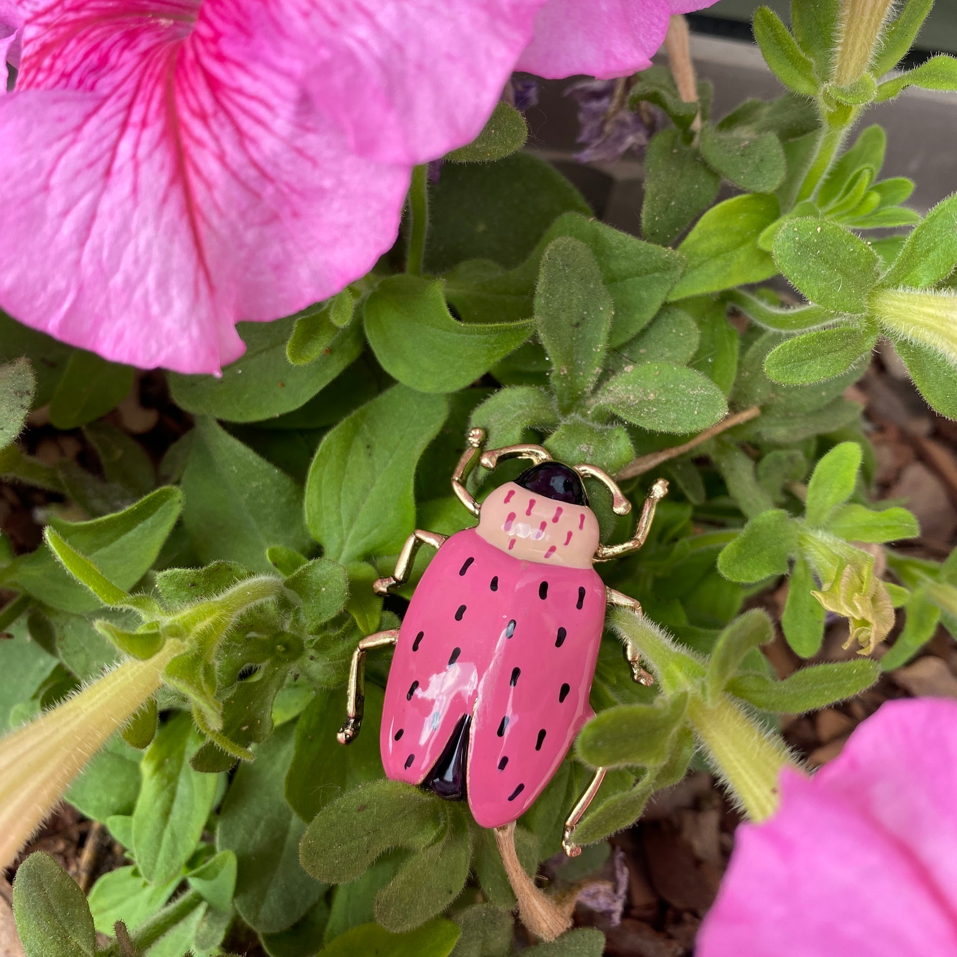 Broszka chrząszcz, różowa